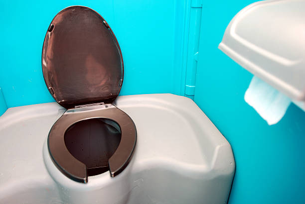 Best Affordable portable toilet rental  in Pigeon, MI